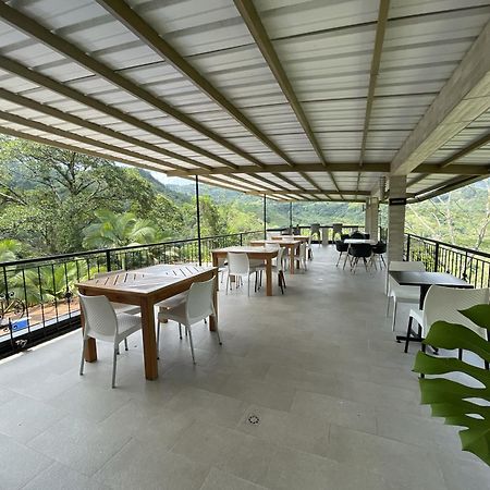 Home Boutique Natural Paradise 拉维加 外观 照片