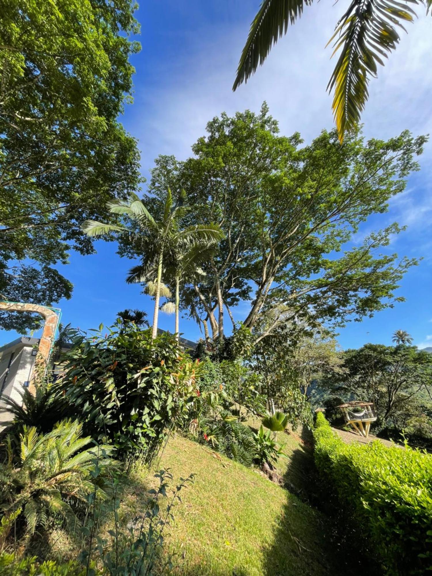 Home Boutique Natural Paradise 拉维加 外观 照片